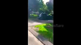 DEER RAN THUR THE STREET!!!! | in Massachusetts| LaLa Queen©