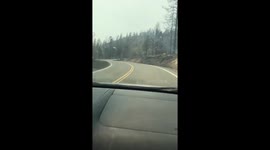 Rock Creek Road #CarrFire damage. https://t.co/6UDL9GeNsx