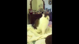 I will get you yet!