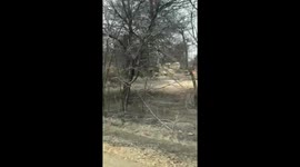 Keswick Carr Fire damage.