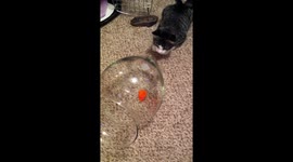 Why can’t I get that thing?