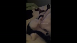 Taking care of your little sister