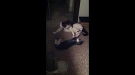 Mom, she touched me!