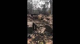 ‘That used to be our living room’: Carr Fire victims make emotional return to burned-downed home
