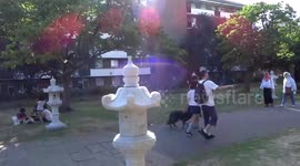 Alley of Japanese stone lanterns in Hammersmith Park