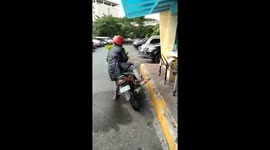 A dog from the philippines is smart