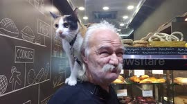 2,5 years with a cat on his shoulders for an old man from Greece !
