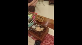 Watching world Cup 2018 Russia