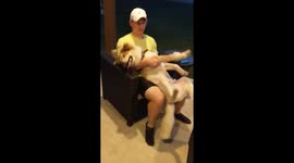 Max the Doggo Doing a Stanky Leg