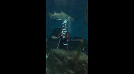 Santa diving