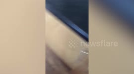 Footage shows dozy crook attempts to sell bike back to family he stole it from
