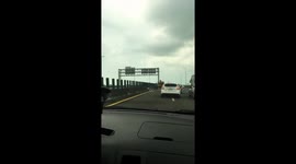 Runaway pig caught on motorway and adopted by highway worker