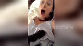 Woman has breast fondled by dog at exact moment she sings raunchy line from Ariana Grande song