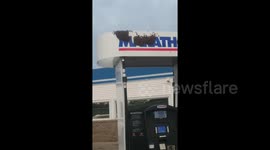 US man stunned by sight of thousands of bees when he fills up truck at gas station
