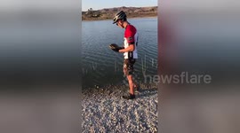 Newsflare Edit - Found this turtle while on a bike ride and had rode over to the lake to get him back https://t.co/iVx57L1as6
