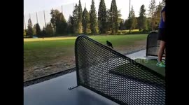 Fearless golf range pet bird