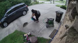 Nest Cam captures woman’s scary encounter with a raccoon