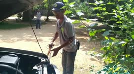 Fearless man pulls snake out of car engine with bare hands