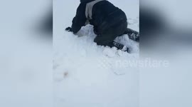 Newsflare Edit - Saving sheep buried in snow drift. The beast from the east, Storm Emma 2018