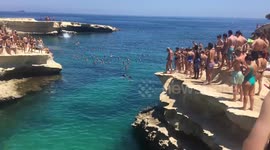 Dog Goes Cliffjumping!