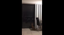Cat fail