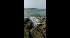 Nature (waves slow motion)