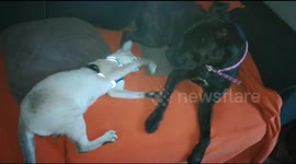 Friends forever