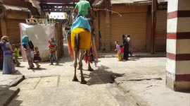 Man riding camel down the street in Luxor, Egypt