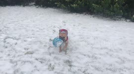 French Bulldog on snow