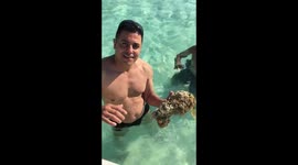 Sea star hurghada