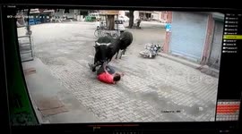 Man survives after being hit by runaway bull in India's Haryana state