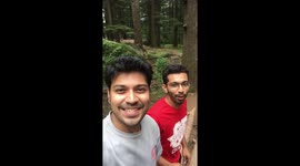 Playing with the dead tree at Manali