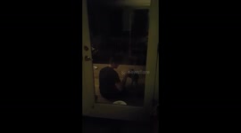 Husband is now feeding the raccoons his doughnuts