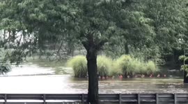 Severe Flooding hits the Northeast