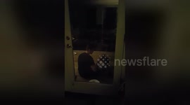 Newsflare Edit - Husband is now feeding the raccoons his doughnuts