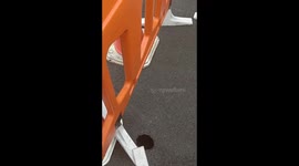 Sinkhole threatening  Preston properties.