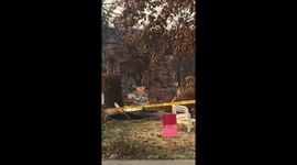 Deer walks through rubble of home destroyed in Carr Fire