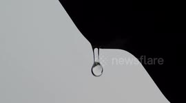 Rain Drop Drops From The Roof- Closeup Video In Black And White