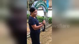 Brave teacher catches deadly cobra at kindergarten