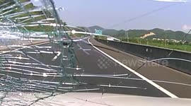 Dash cam films stick smash windscreen