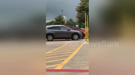 Man breaks car window to rescue dog trapped in hot car