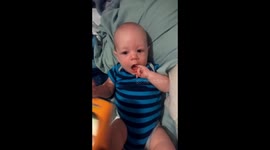 Baby Stud Finder