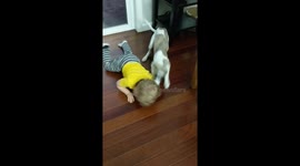 Puppy has perfect way to stop toddler tantrums