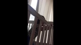 Baby says Papa instead of Mama