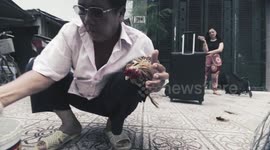 Vietnamese man repeatedly slaps a chicken in the face