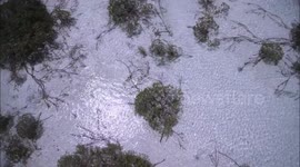 Spectacular drone footage of the shallow flats of Eleuthera (no music)