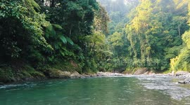 The WILDEST I've ever been - SUMATRA JUNGLE TREK DAY 3
