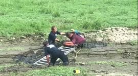 Firefighters rescue man and his parrot who had sunken into mud like ‘quicksand’