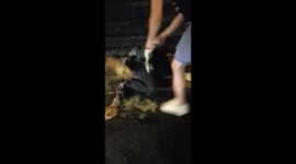 Men beat up 'attempted acid attacker' in London street