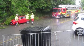 Car pinned by fallen tree cut free by emergency services